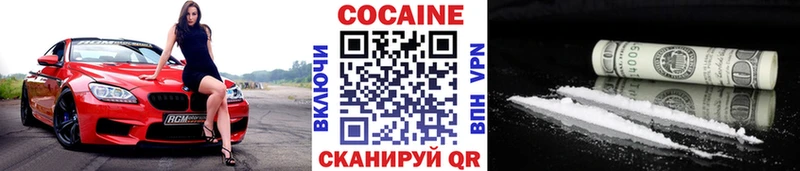Купить  Ветлуга  КОКАИН Fish Scale 
