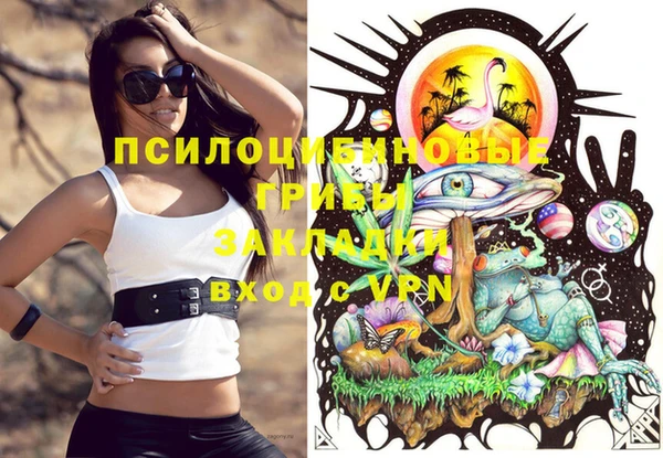 apvp Белокуриха