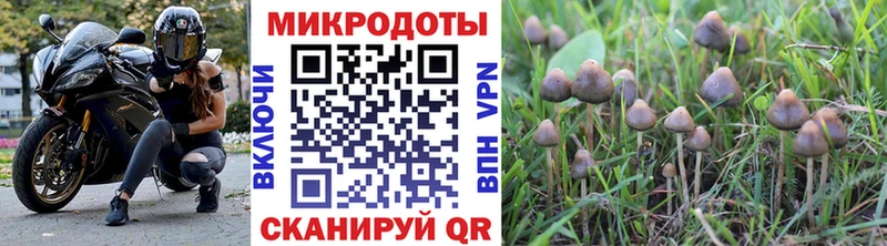 Галлюциногенные грибы Cubensis  Купить закладки  Ветлуга 